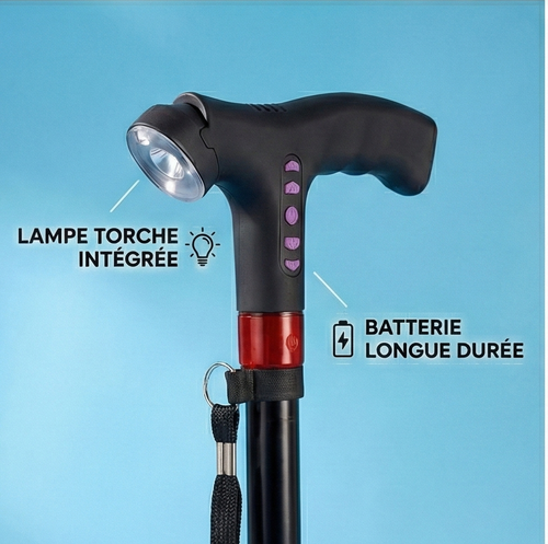 Canne de marche Soutien+ ⭐ Best Seller