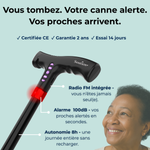 Canne de marche Soutien+ ⭐ Best Seller