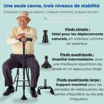 Canne de marche Soutien+ ⭐ Best Seller